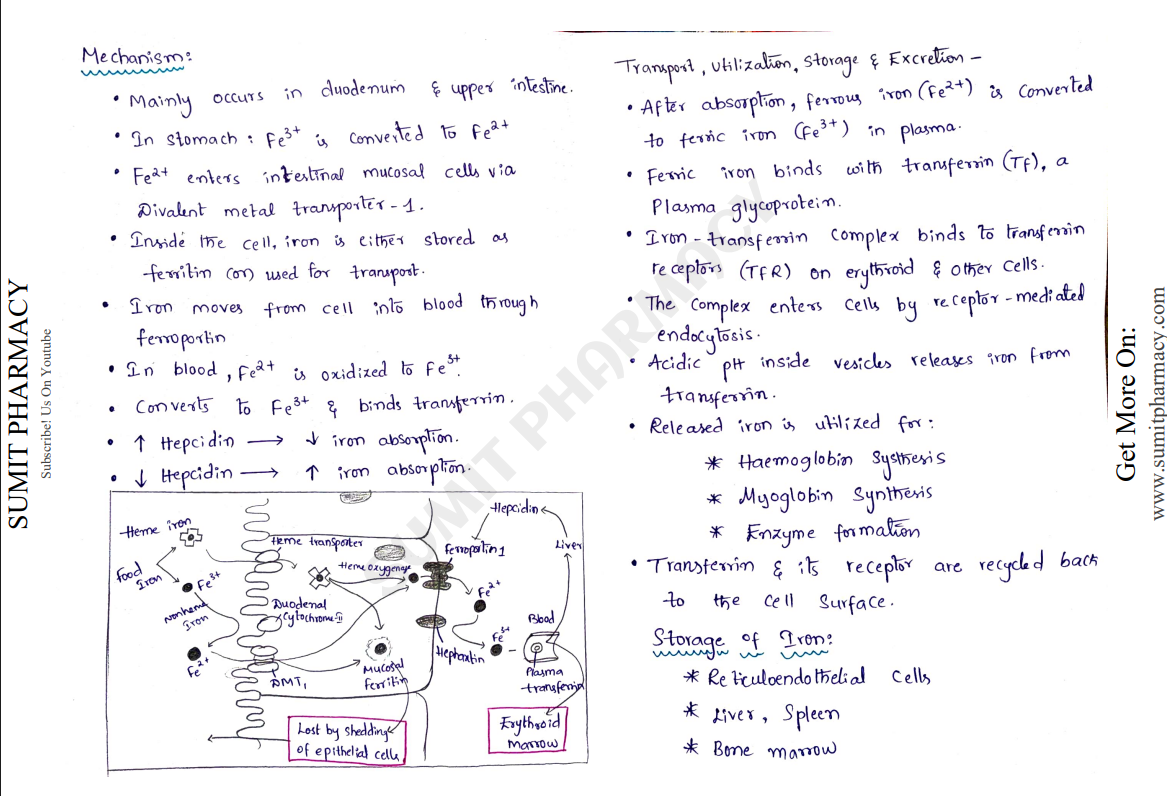 Pharmacology-II handwritten notes PDF for B Pharma 5th Semester