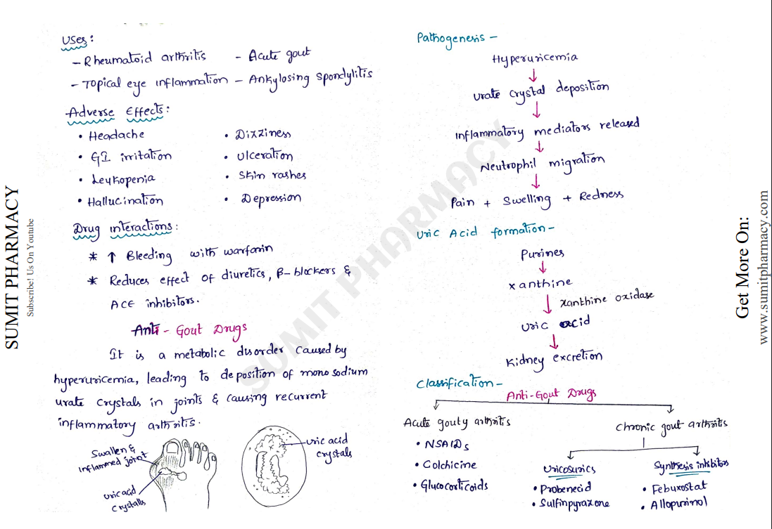 Pharmacology-II handwritten notes PDF for B Pharma 5th Semester